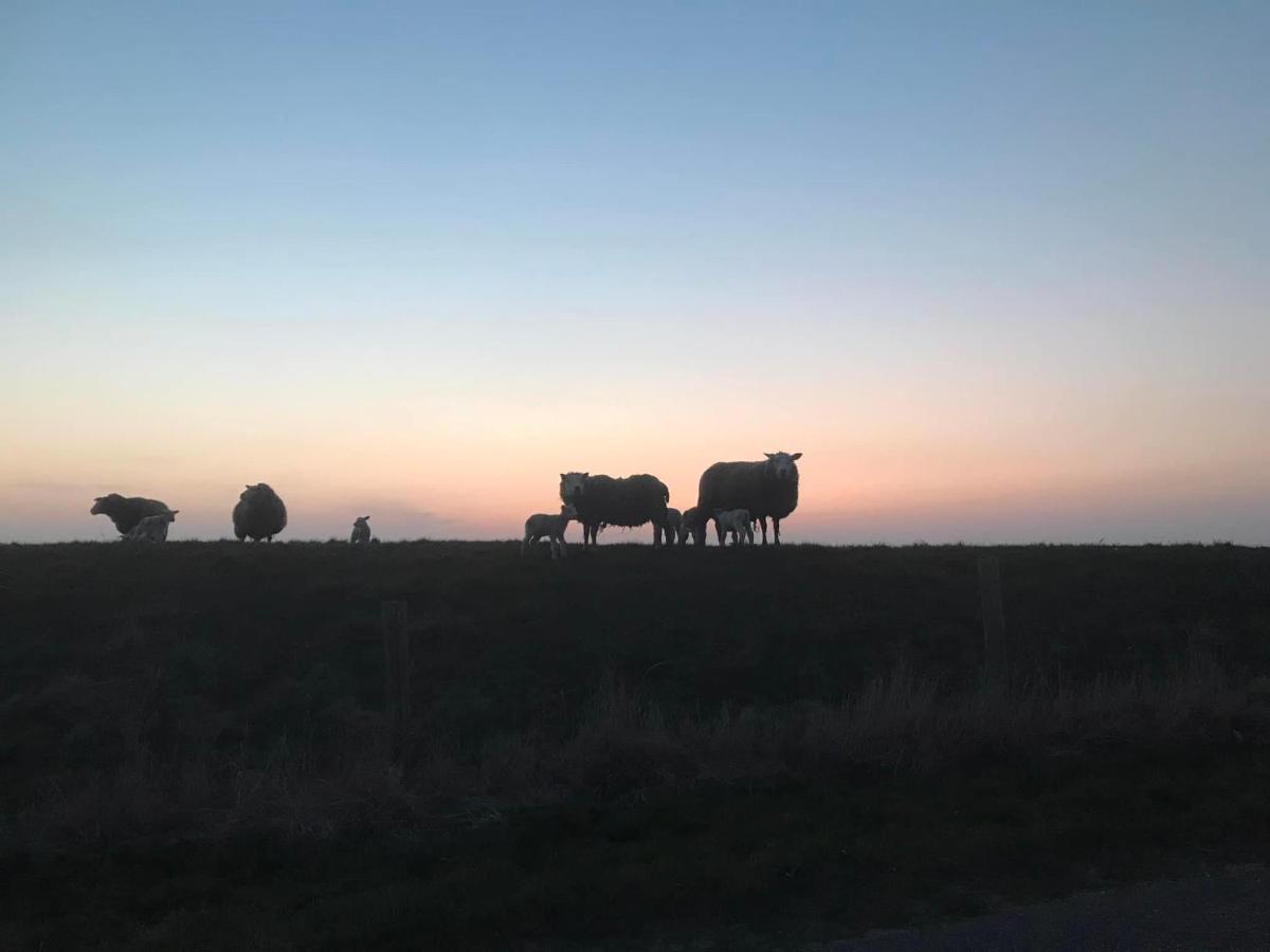 B&B De Oude Skuur Texel Oosterend  エクステリア 写真