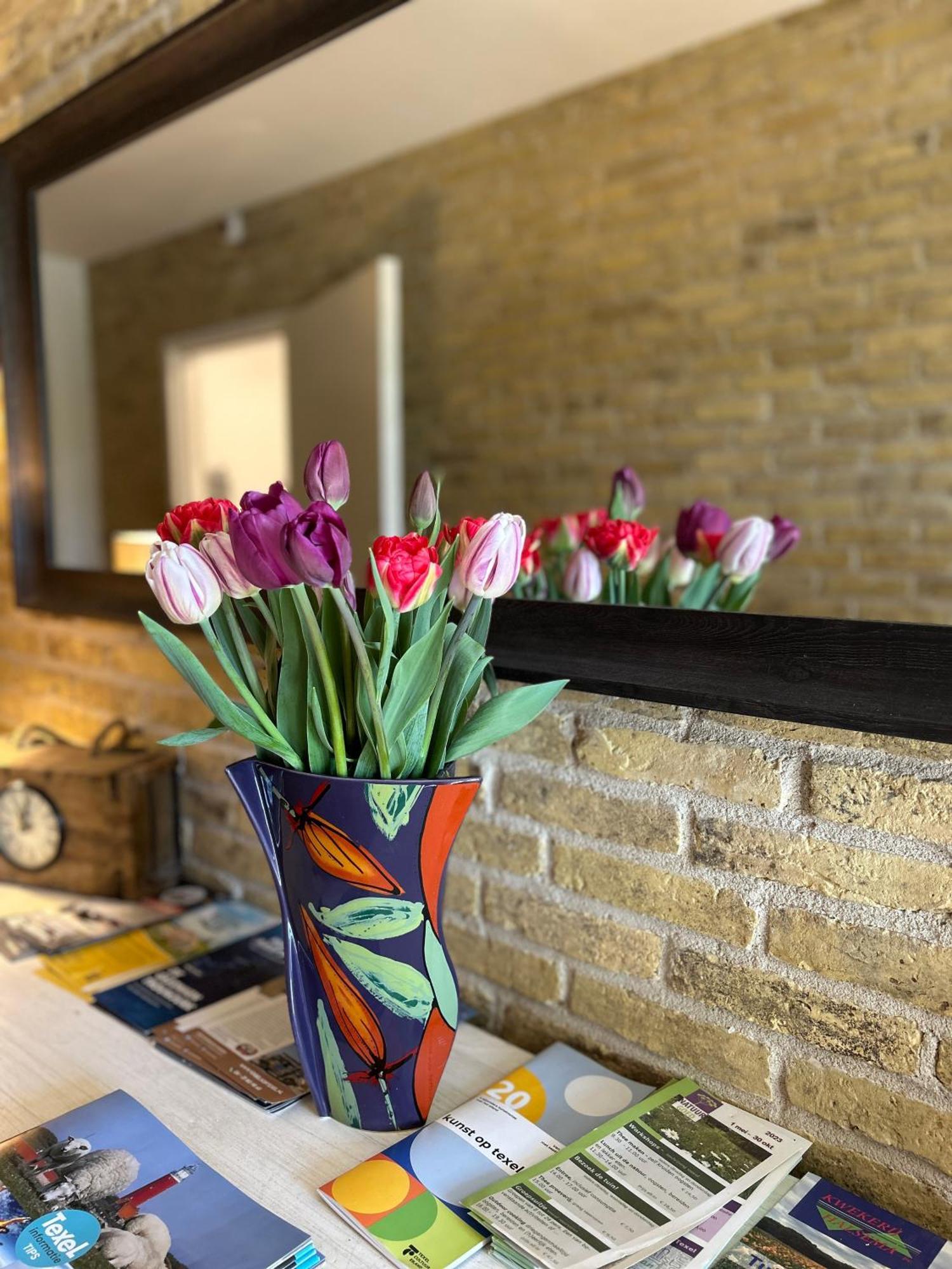 B&B De Oude Skuur Texel Oosterend  エクステリア 写真